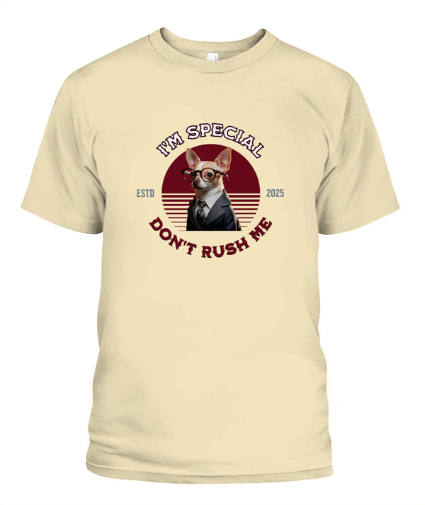 Unisex T-Shirt | Next Level 3600